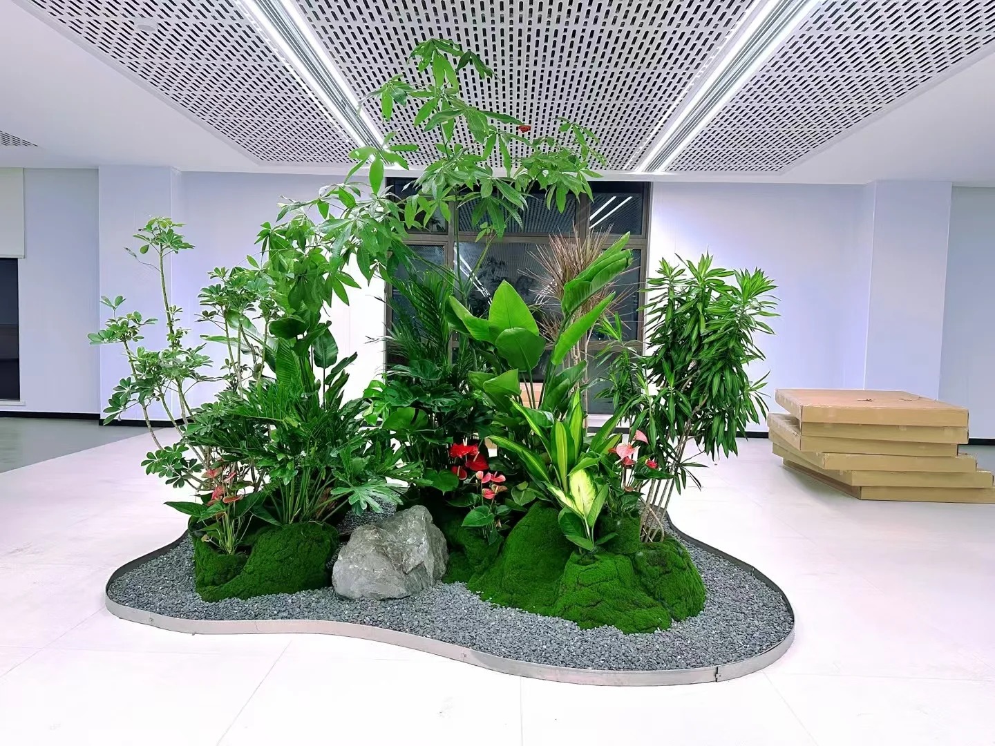 余姚植物出租哪家强？价格实惠等你来瞧！